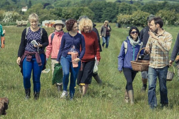 Go Foraging